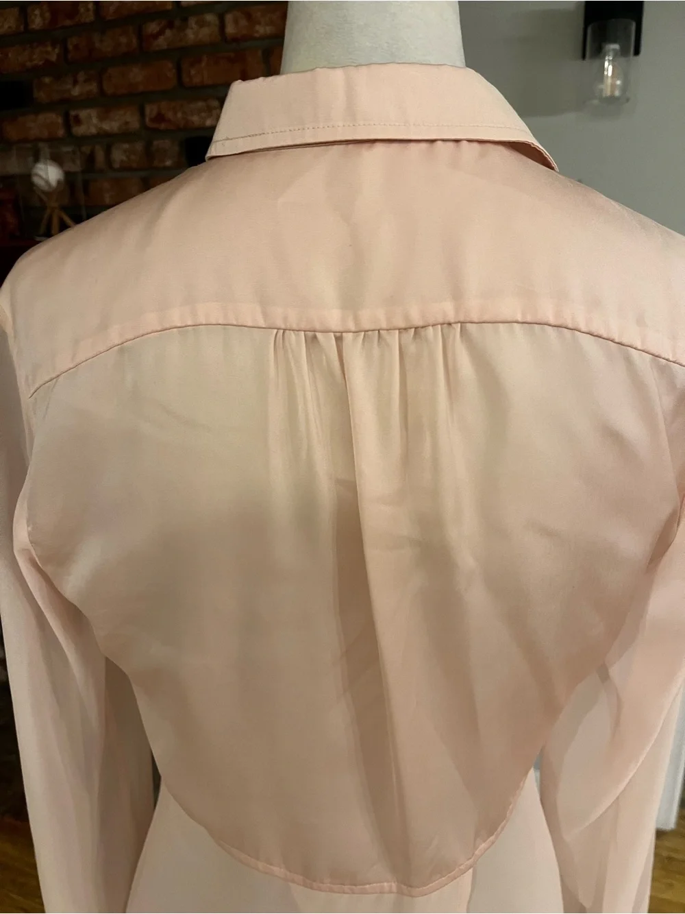 Free People Pink Sheer Button-Down Blouse